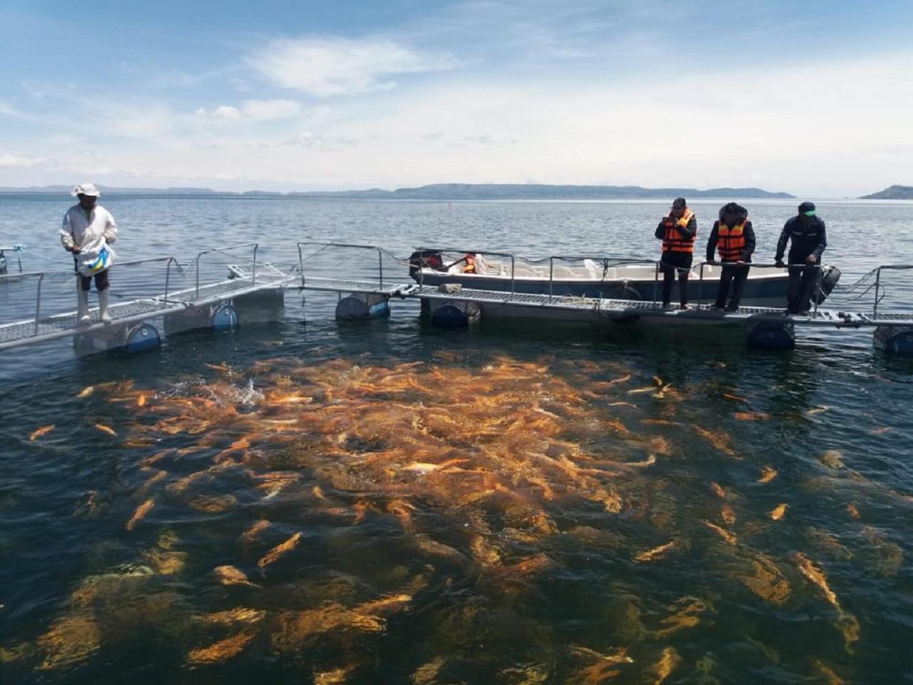 Yacht Lago Titicaca Chucuito Luaran gambar
